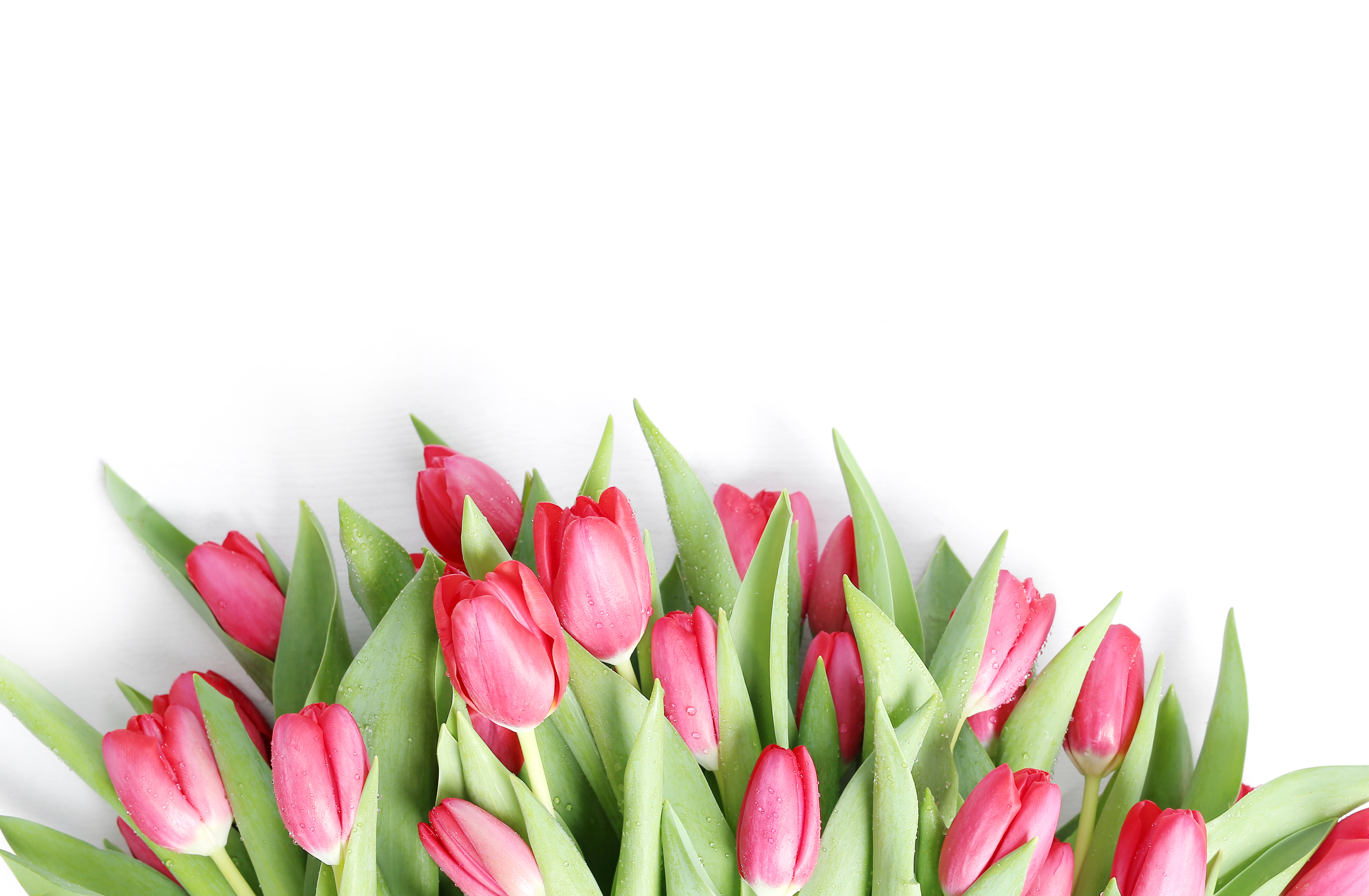 beautiful-bouquet-of-tulips.jpg